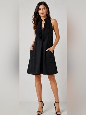 BCBGMAXAZRIA Joselyn Tuxedo Ruffle Mini Swing Dress Size XS Dark Academia LBD